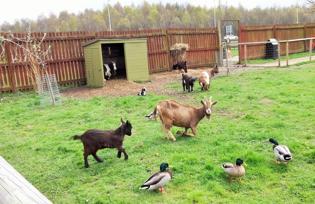 Whisby Animal Centre