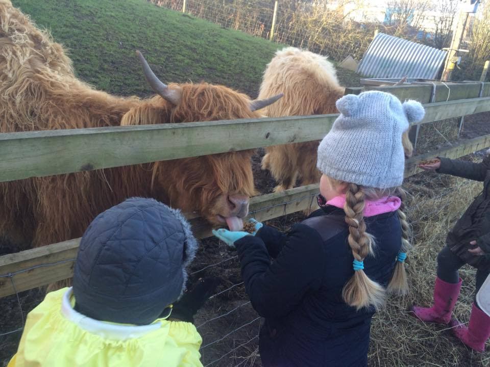 Aston Springs Farm - Photo