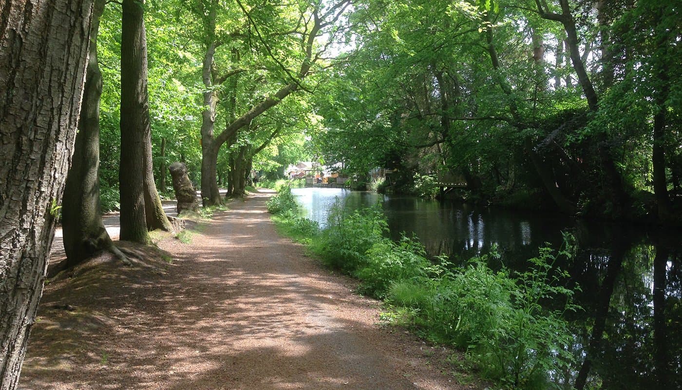Woking Trails - Photo