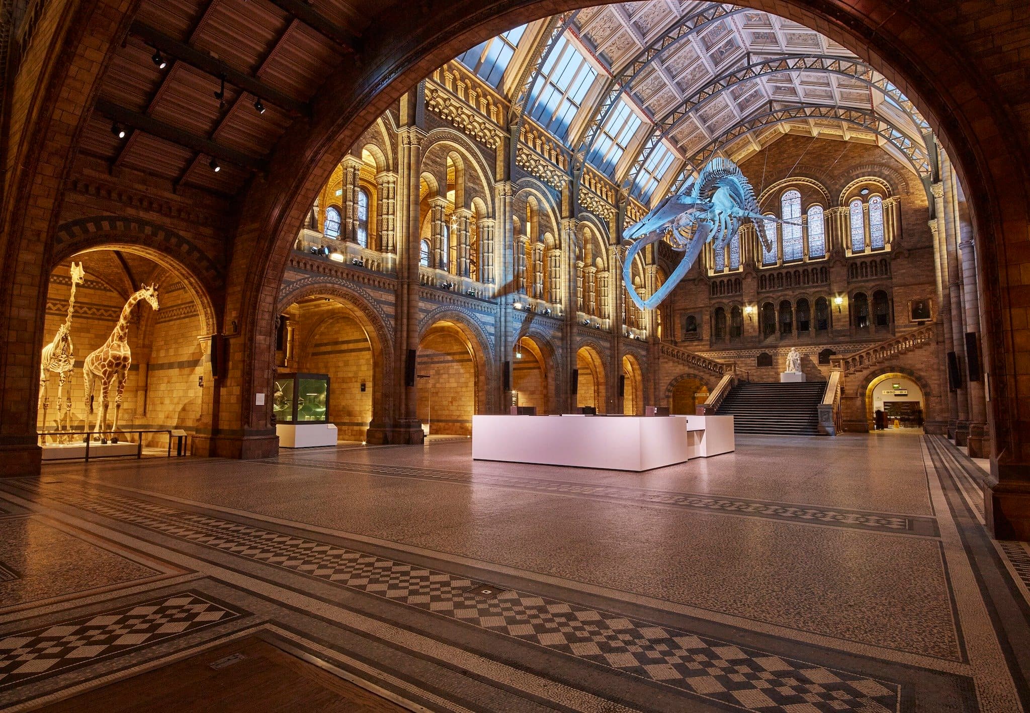 The Natural History Museum - Photo