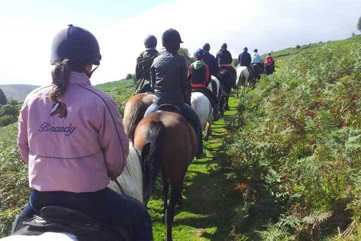 Lion Royal Hotel Trekking