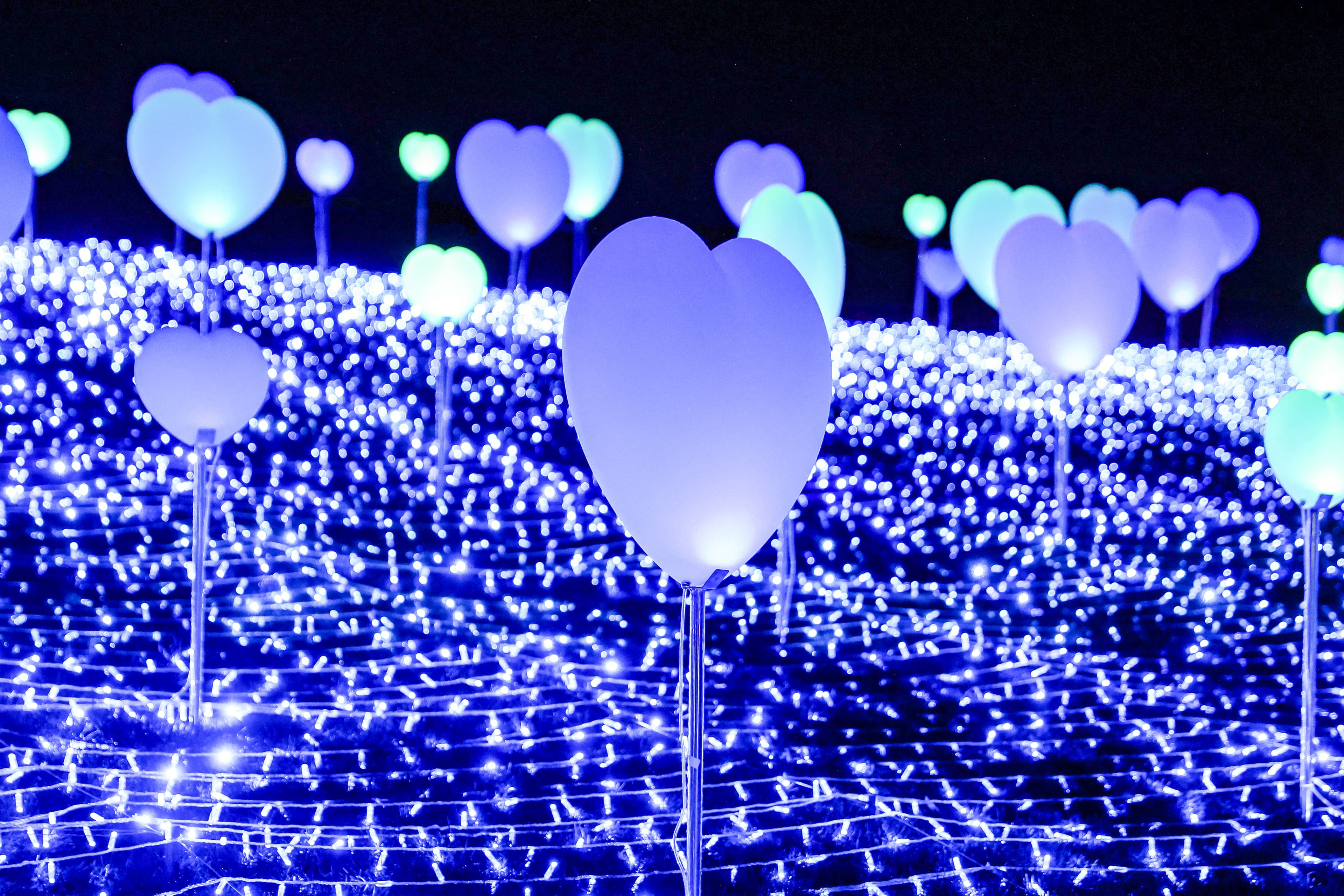 Lightopia London - Photo