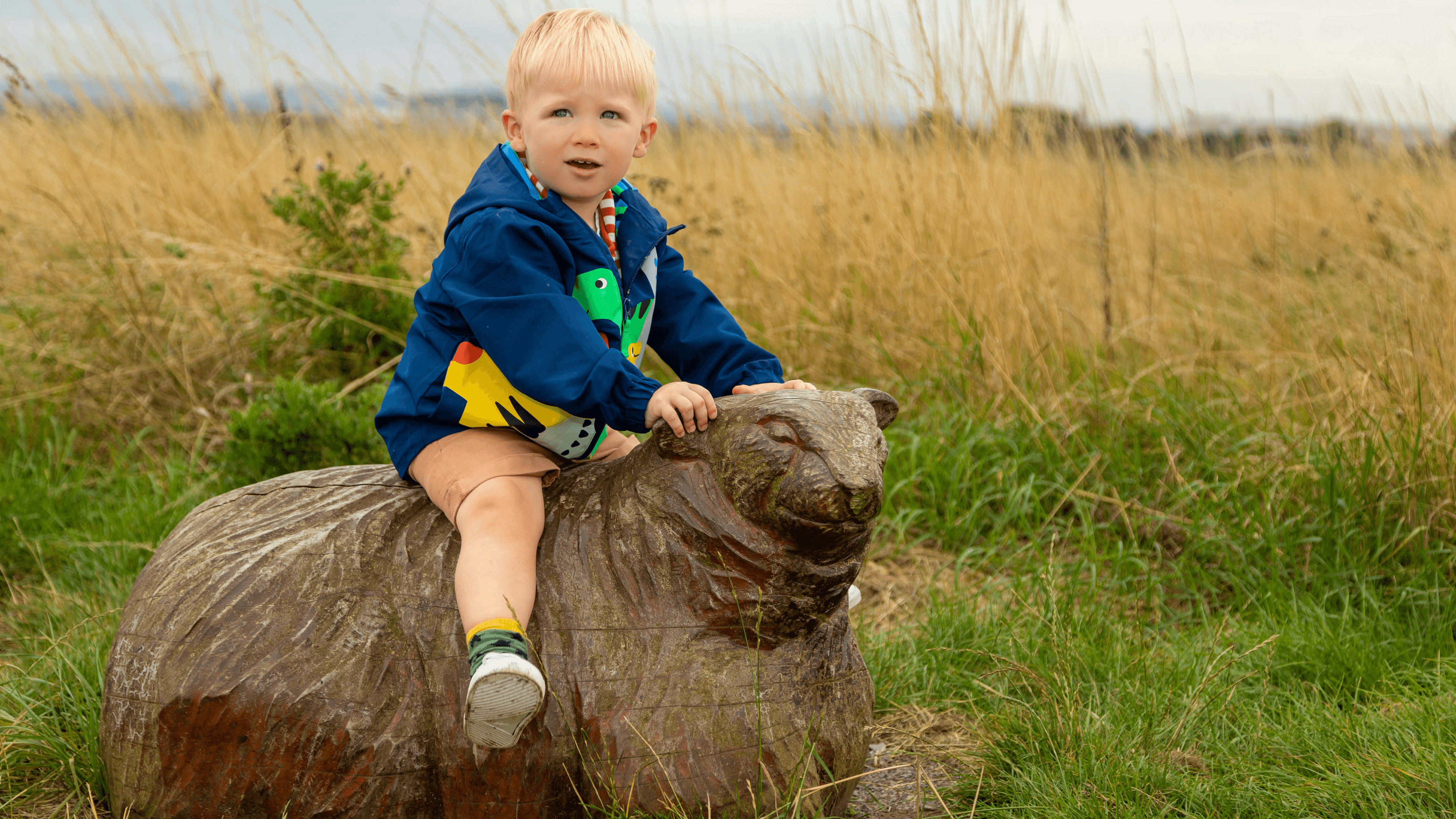 RSPB Saltholme - Photo