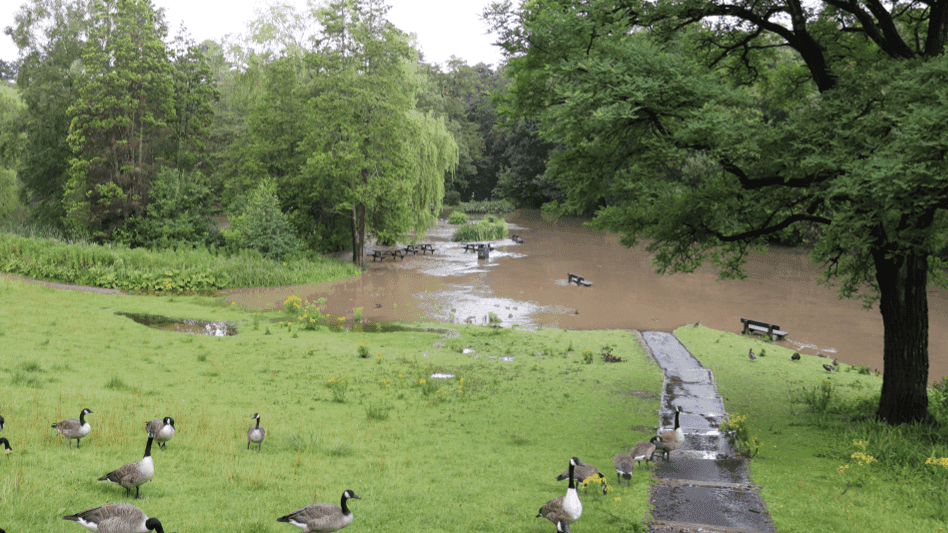 Bramhall Park - Photo