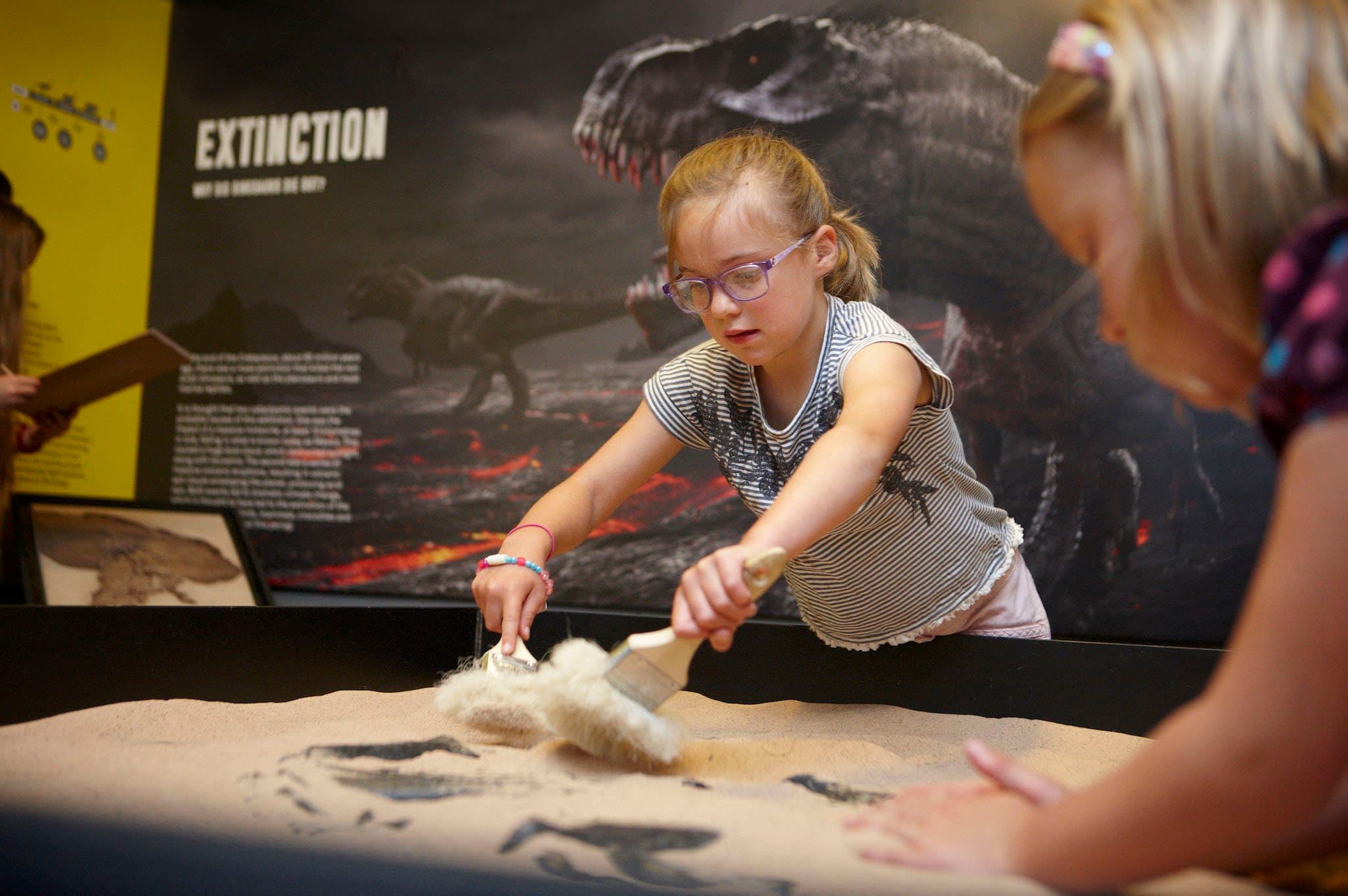 The Dinosaur Museum - Photo
