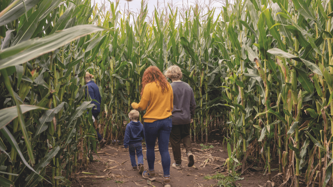 Farmer John’s Maize Maze & Pumpkin Patch