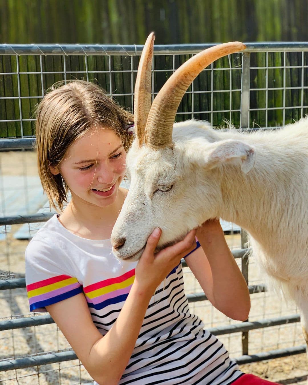 Kentish Town City Farm - Photo