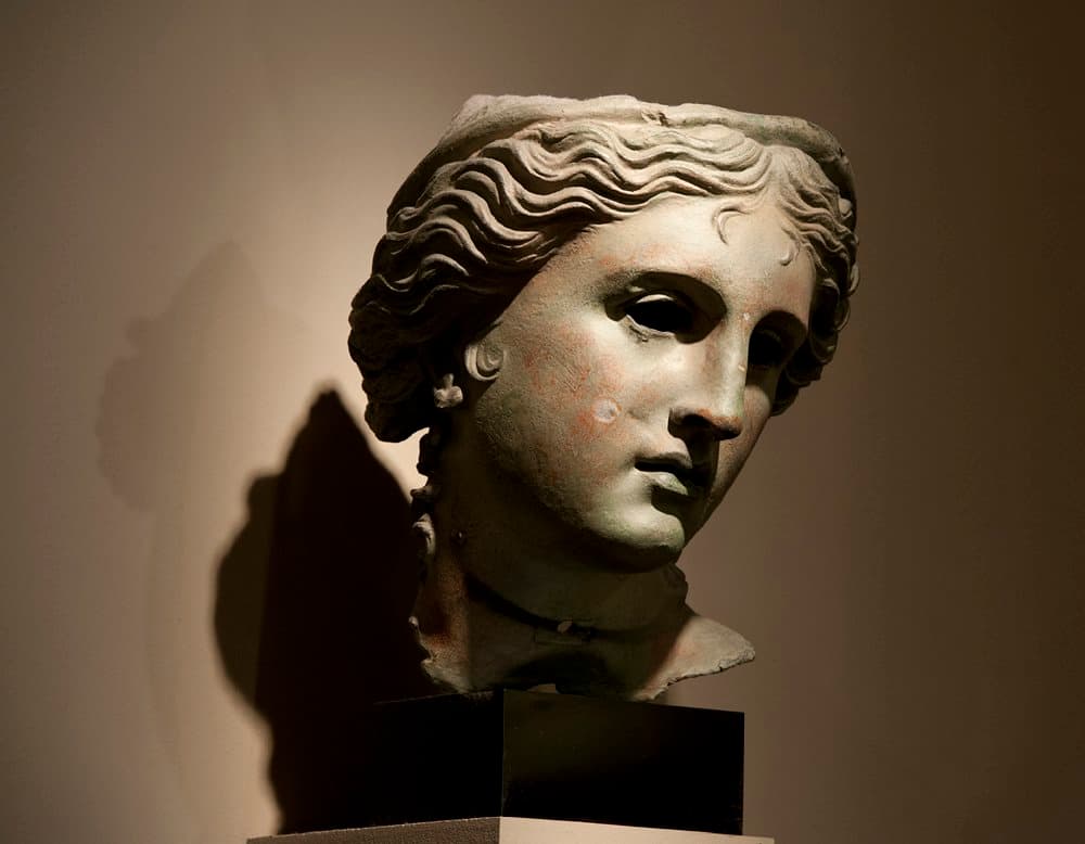 Leeds City Museum - Photo