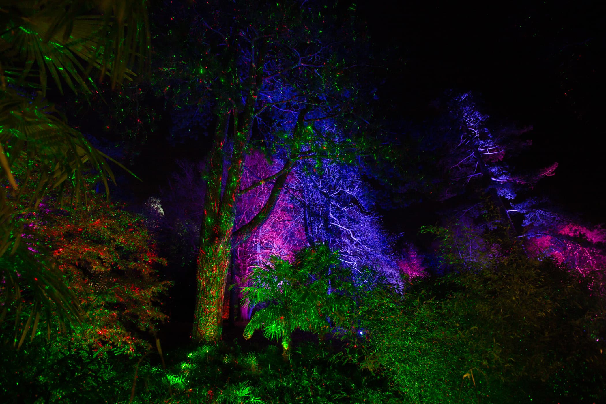 Enchanted Gardens Light Trail - Photo