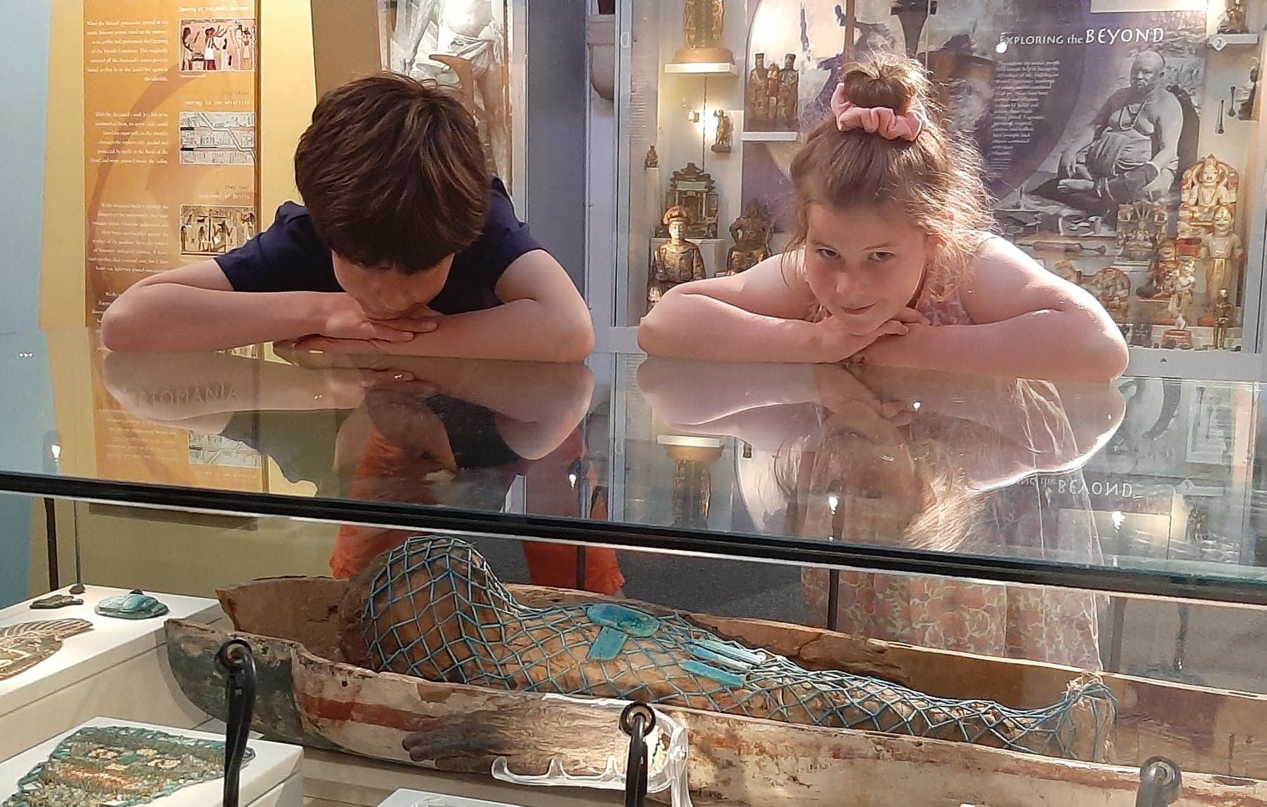 Torquay Museum - Photo