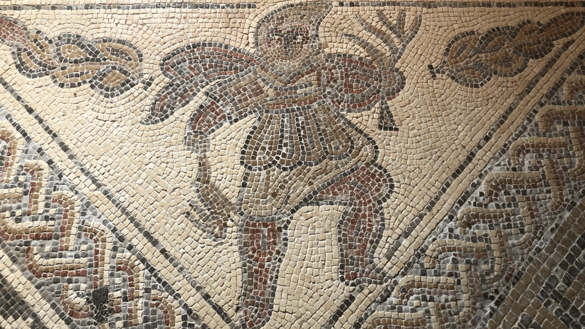 Chedworth Roman Villa - Photo