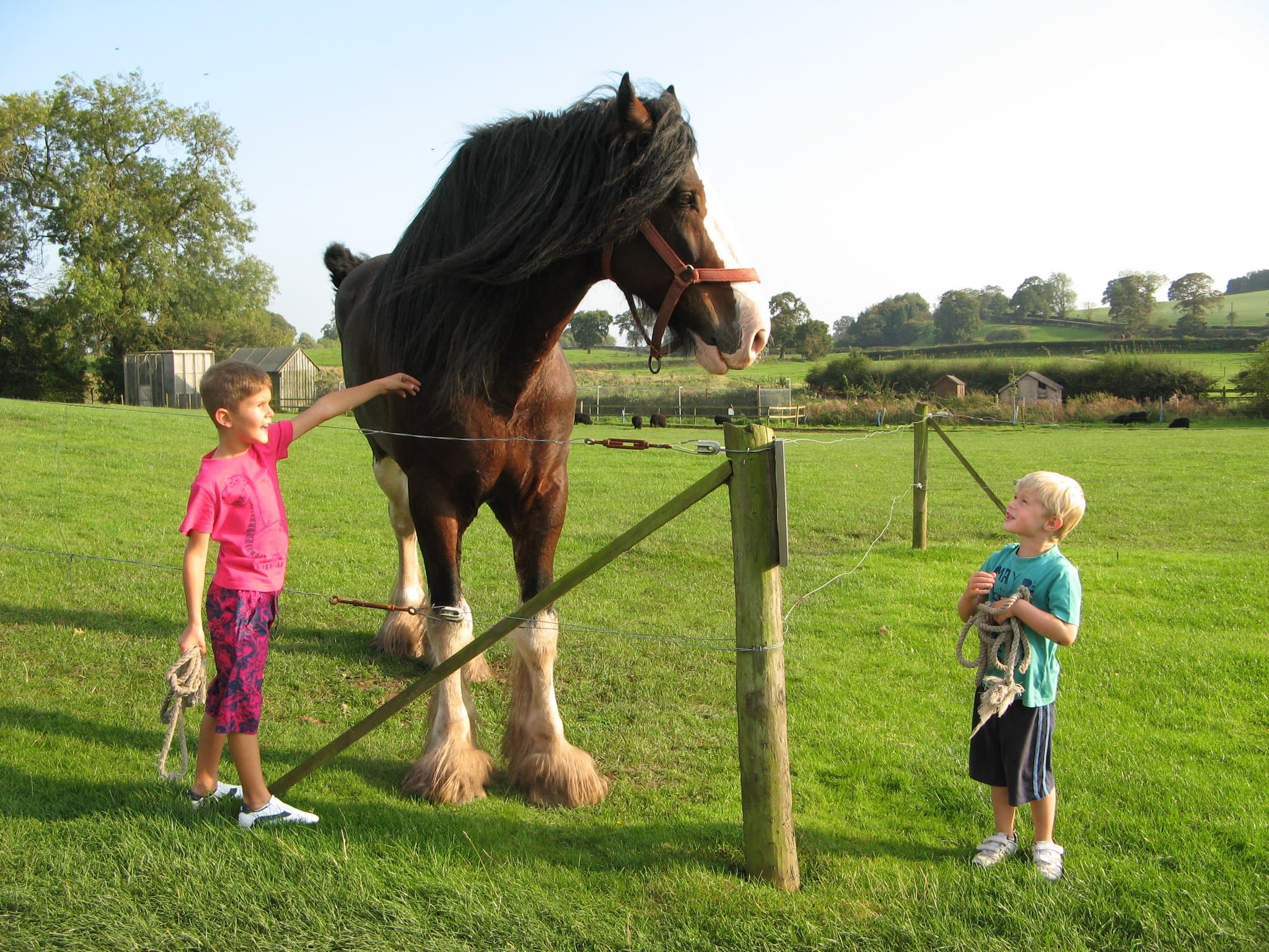 Cotebrook Shire Horse Centre - Photo 1