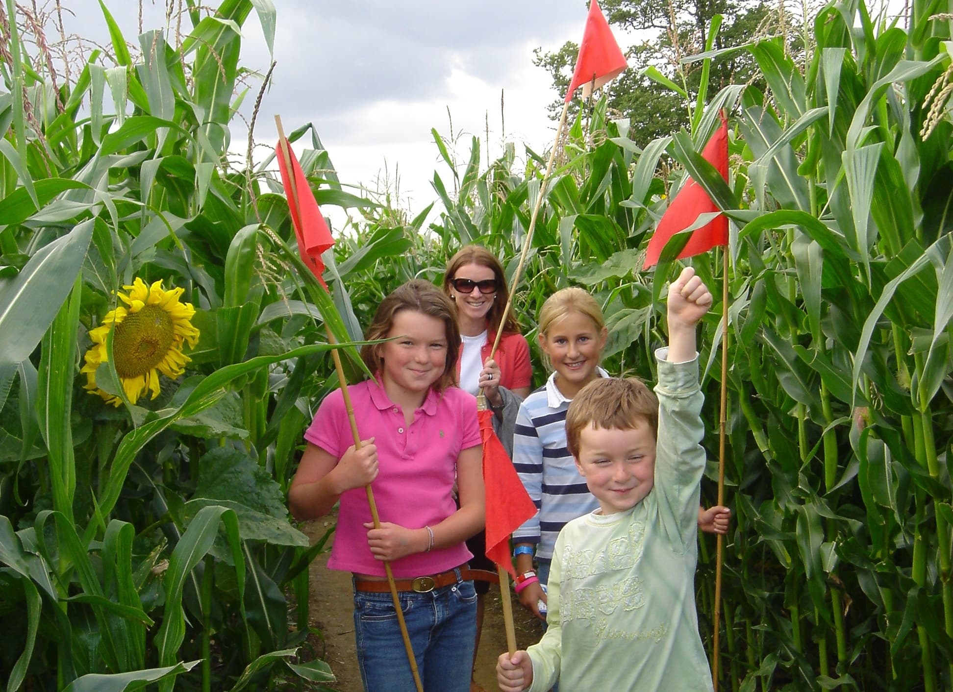 Wistow Maze - Photo 1