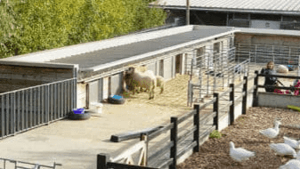 Crystal Palace Farm London - Photo