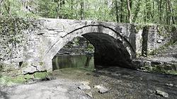 Wepre Park - Photo