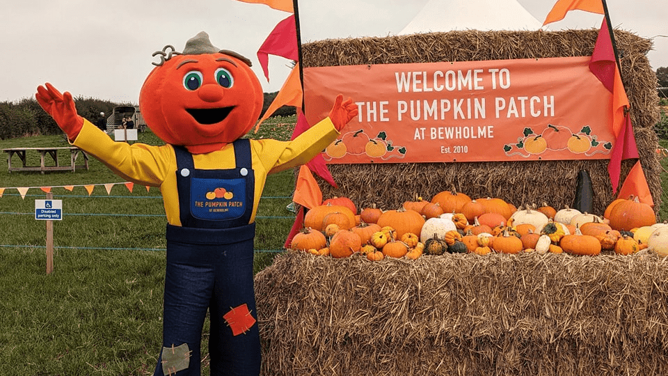 The Pumpkin Patch at Bewholme - Photo 1
