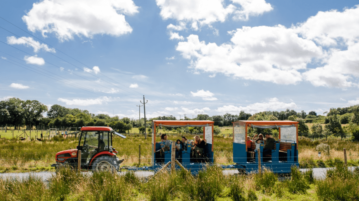 Ark Open Farm - Photo
