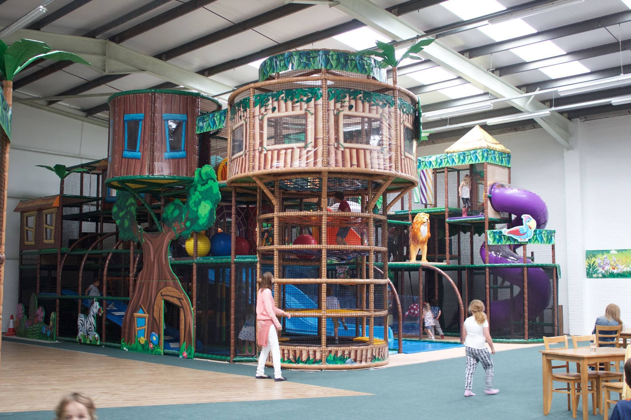Jungle Kingdom Swindon