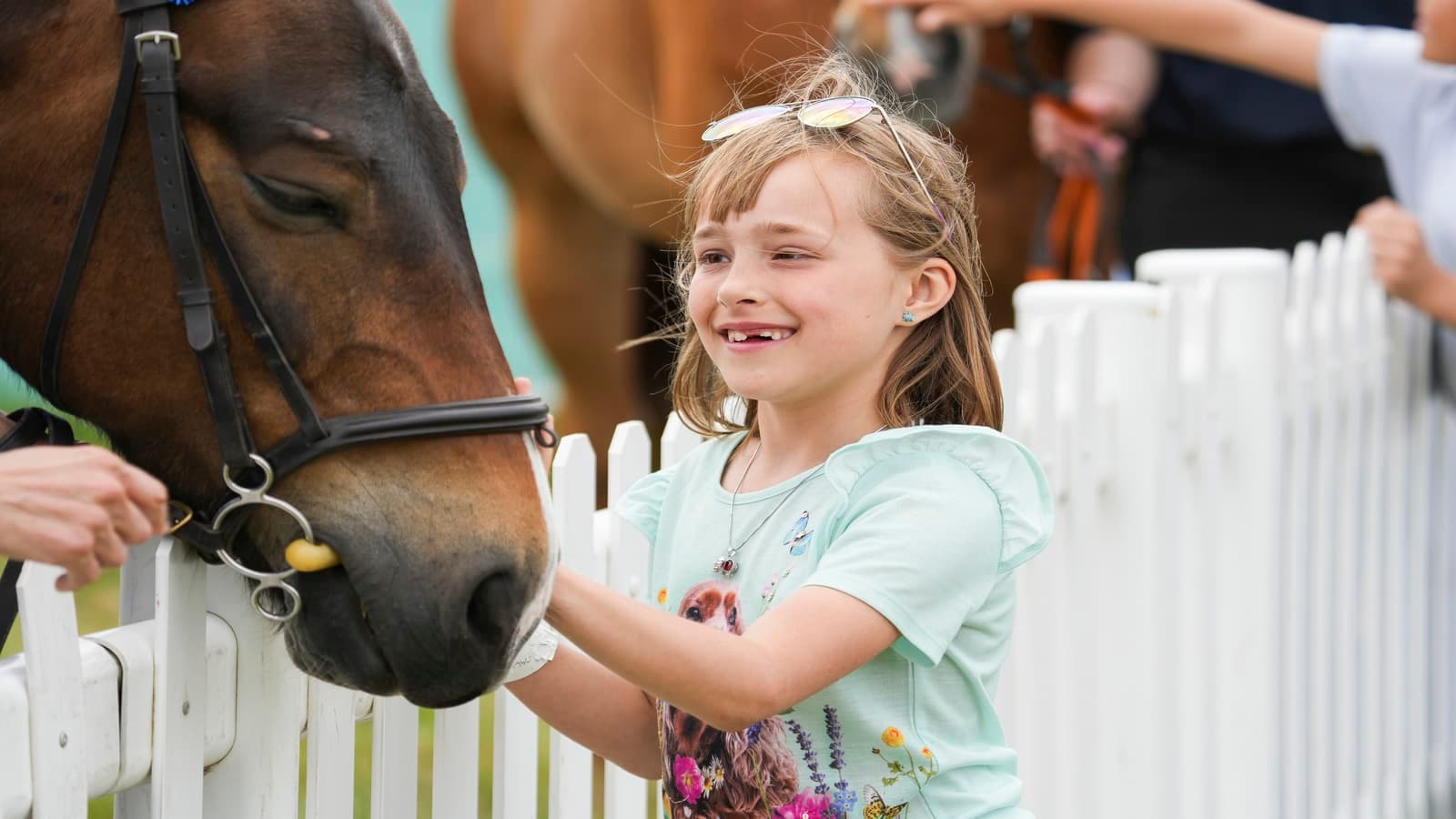 Epsom Downs Racecourse - The Derby Family Festival - Photo