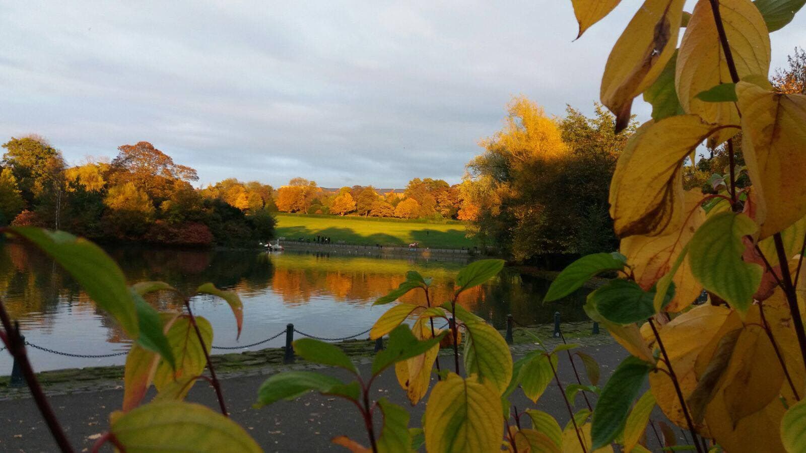 Saltwell Park