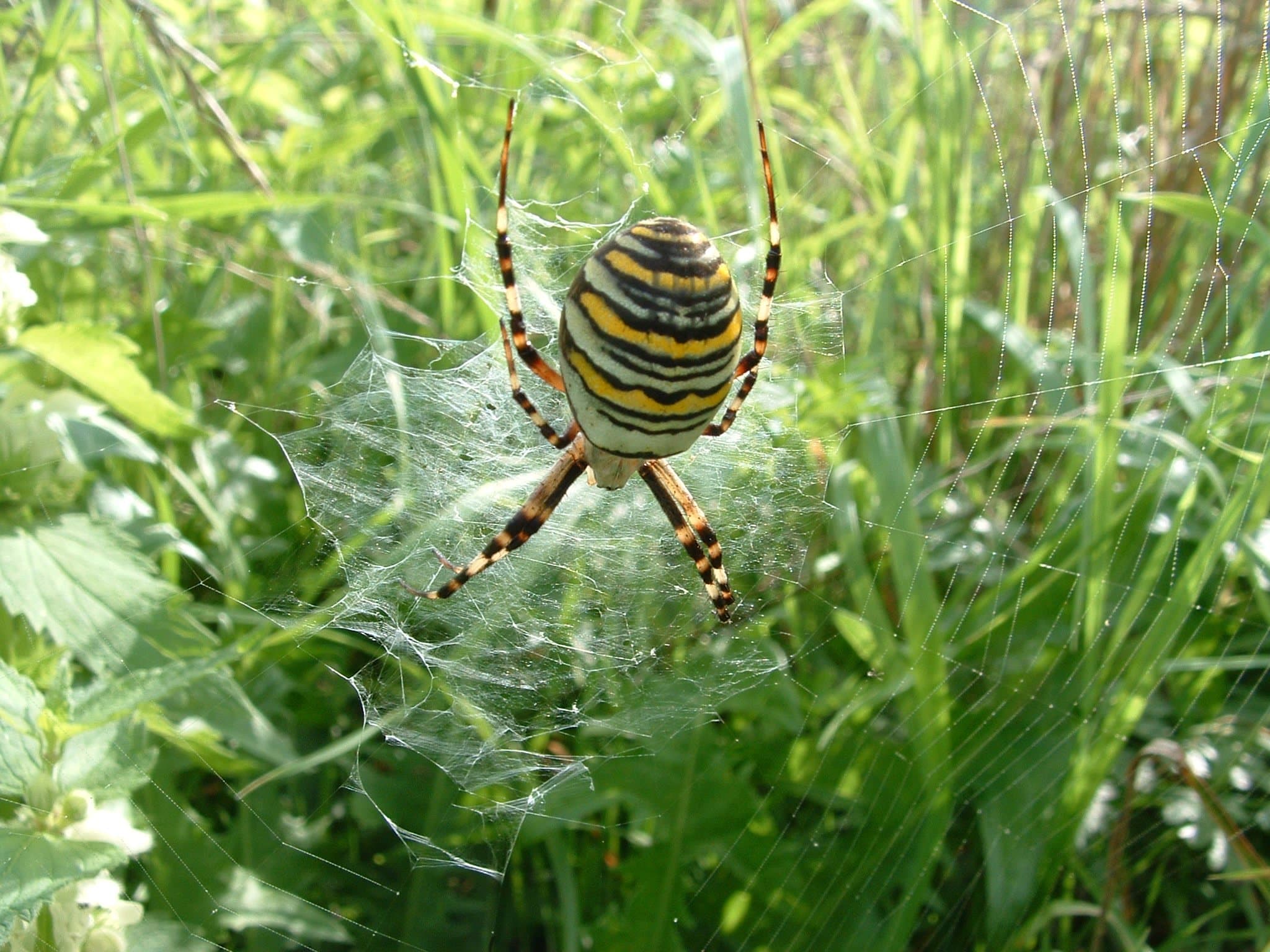 Brickfields Country Park - Photo