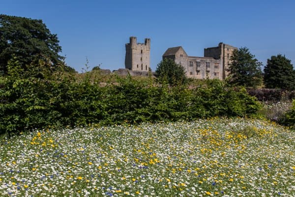Helmsley Walled Garden - Photo