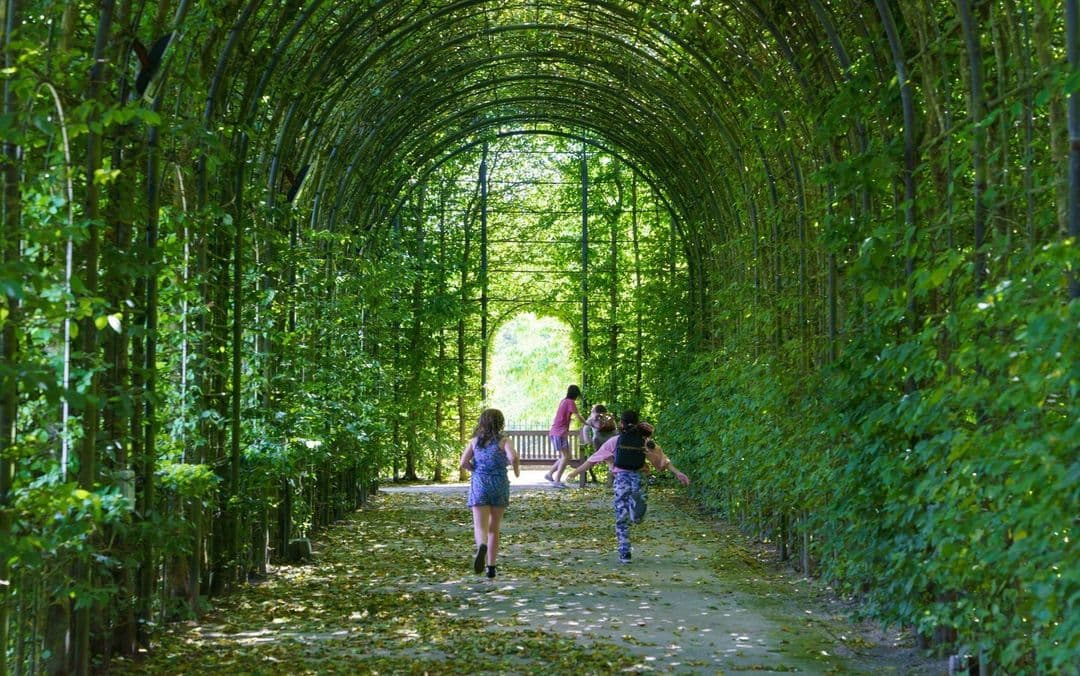 The Alnwick Garden