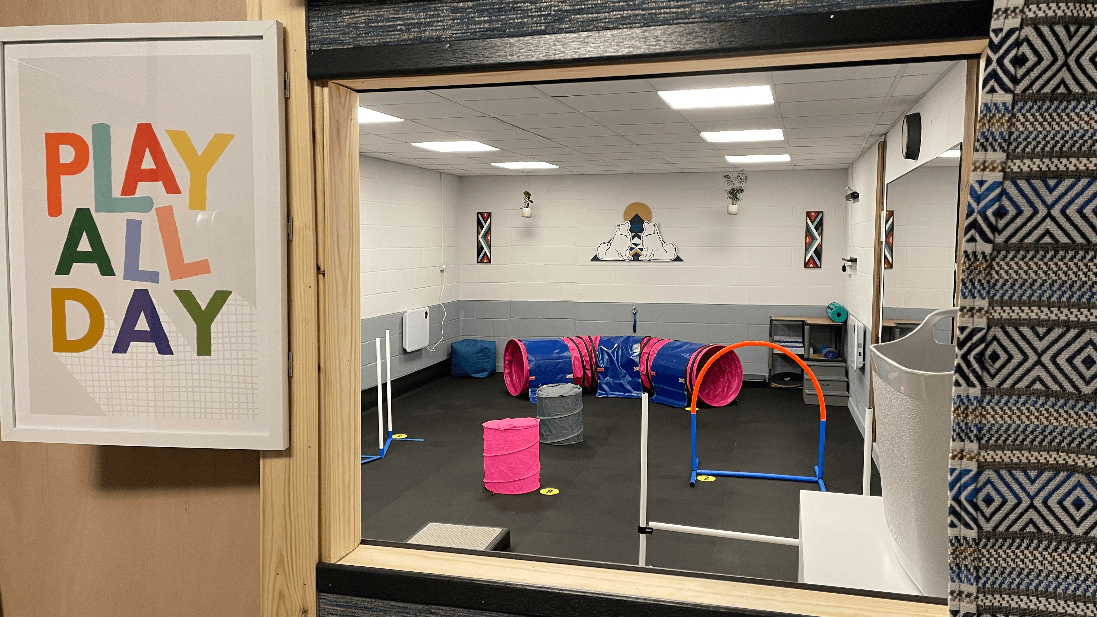 Peak Performance Dog Gym, Play and Training - Photo
