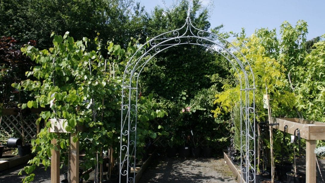 Marlow Garden Centre - Photo
