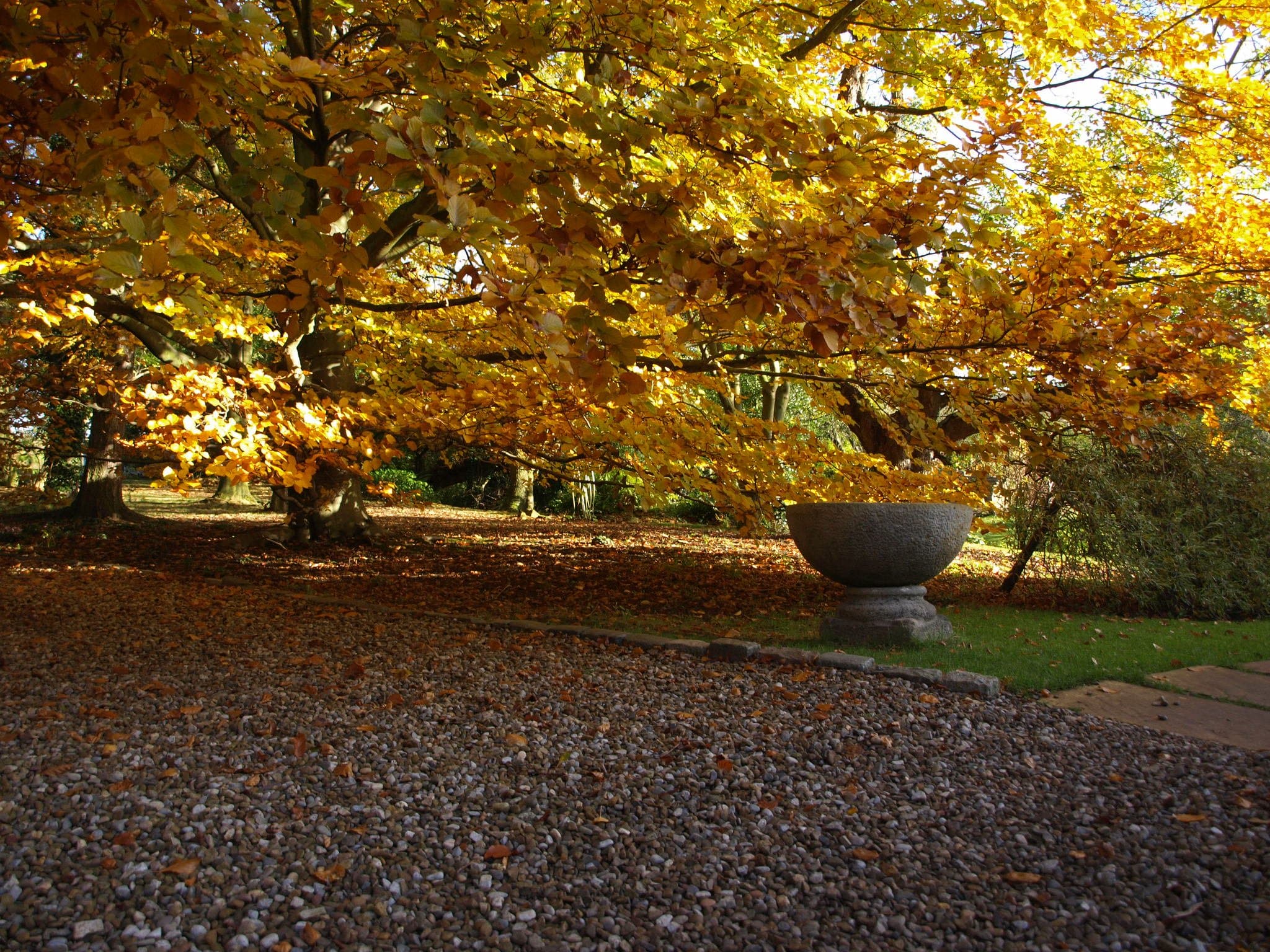 Crook Hall & Gardens