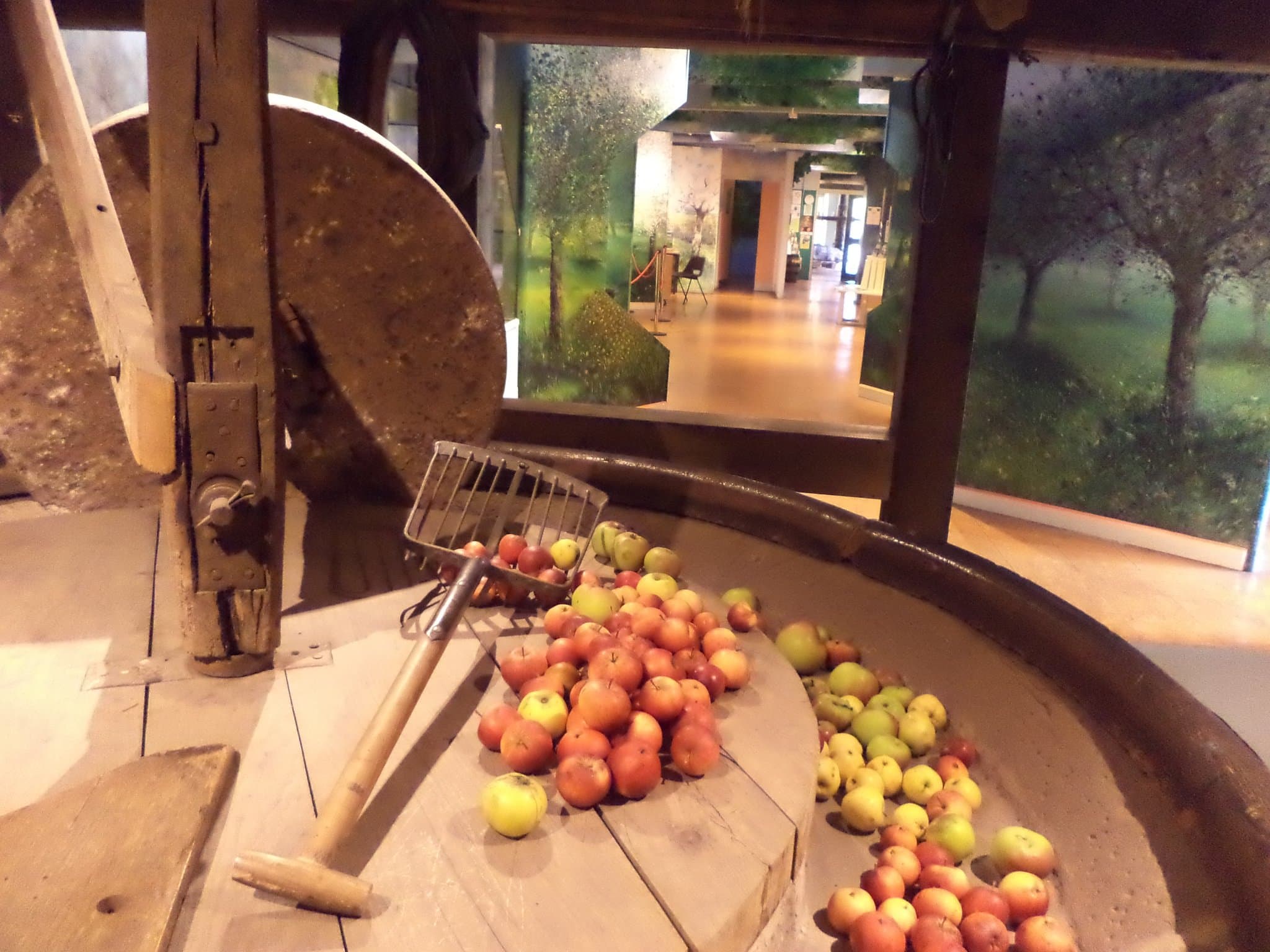 The Cider Museum Hereford - Photo