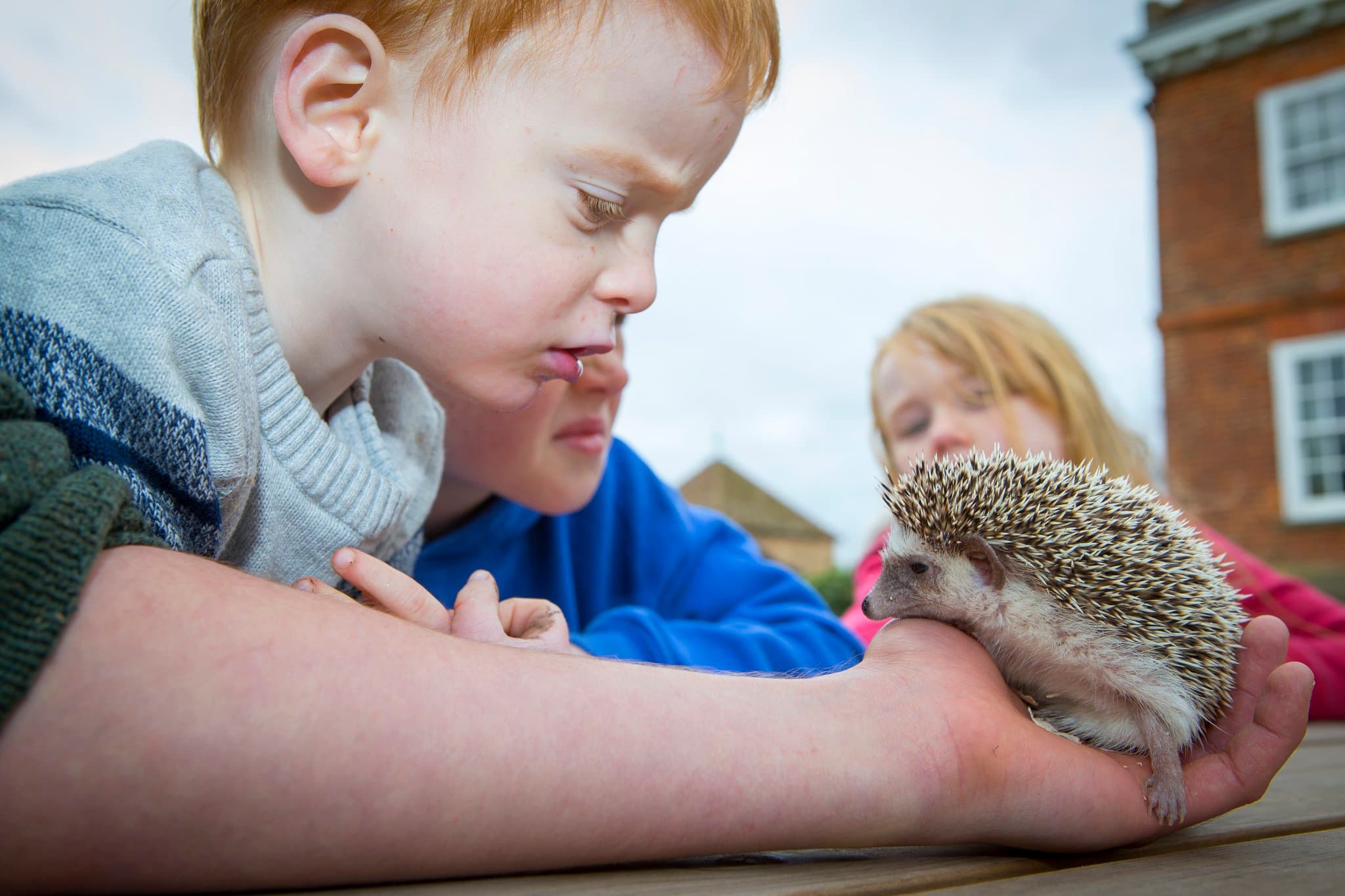 Herrings Green Activity Farm & Birds of Prey Centre - Photo