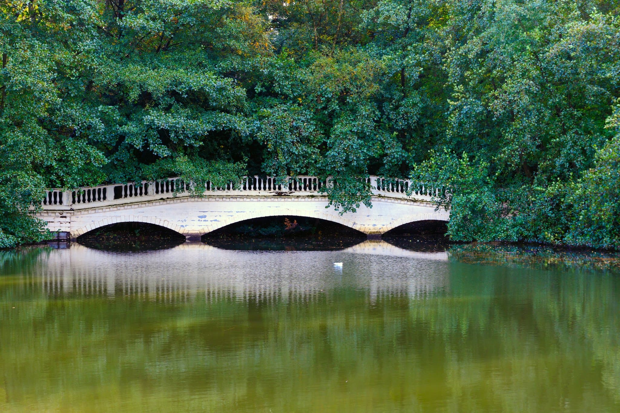 Hampstead Ponds - Photo 1