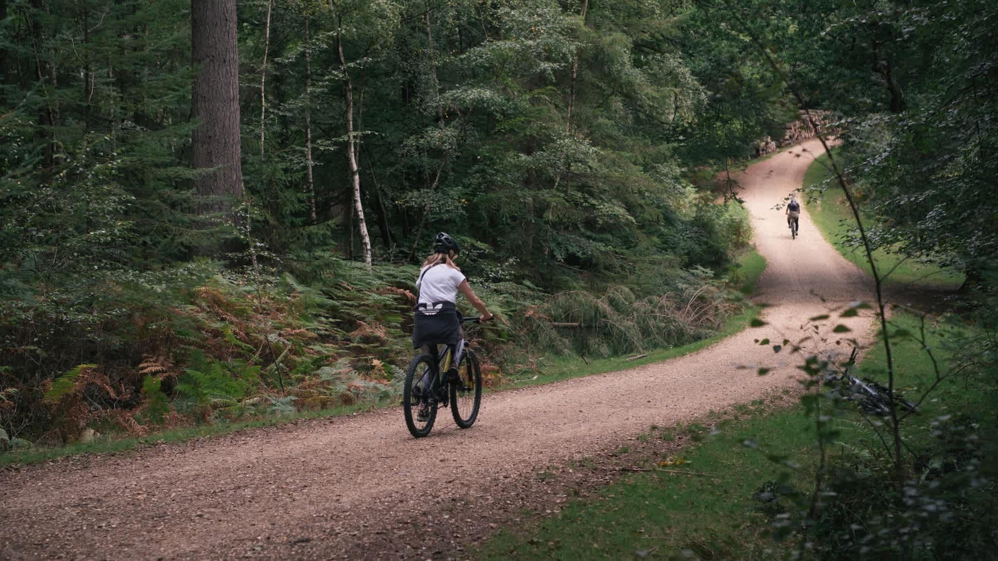 Forest Leisure Cycling - Photo