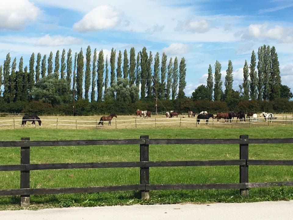 Scropton Riding For The Disabled - Photo 1