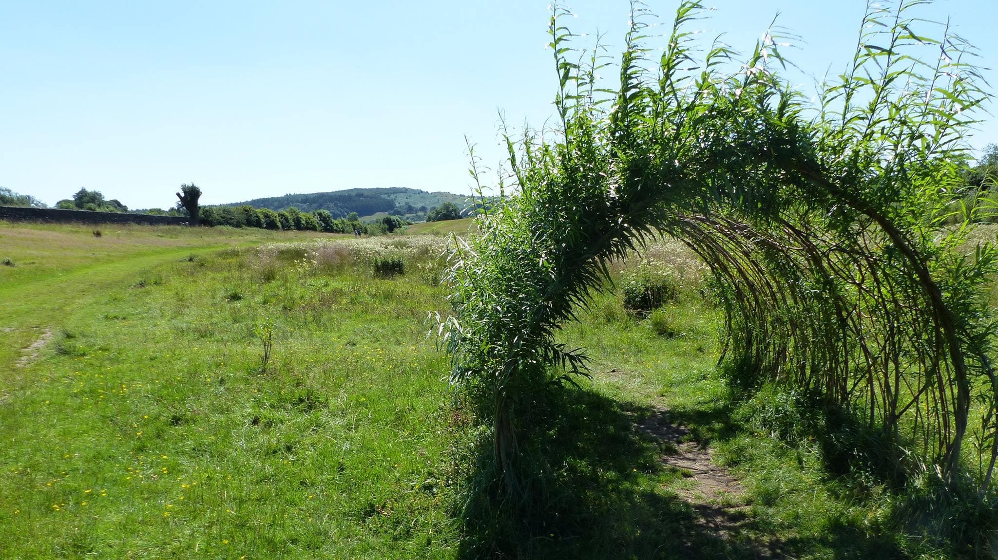Fell Foot Park