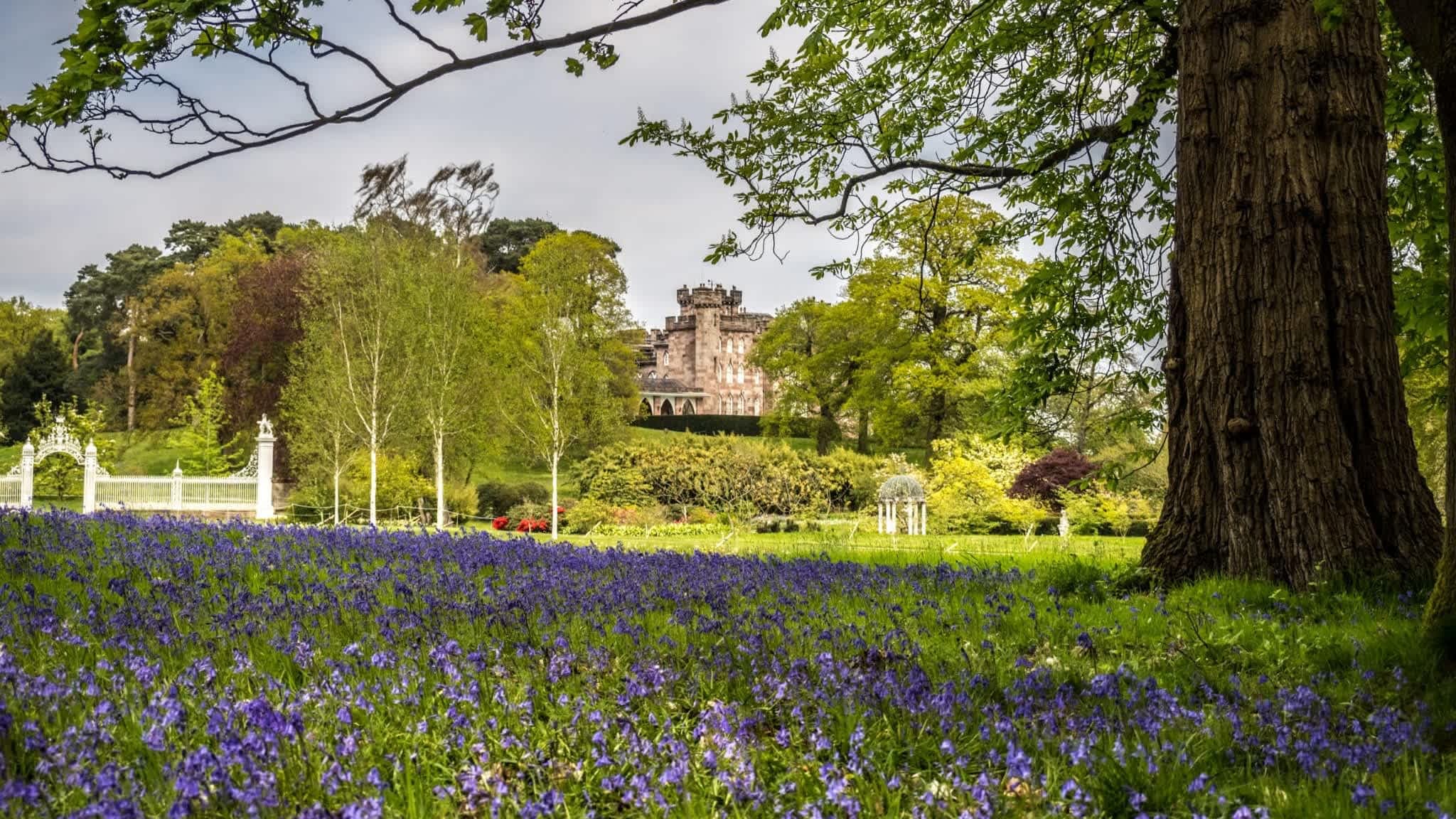 Cholmondeley Castle Gardens - Photo 1
