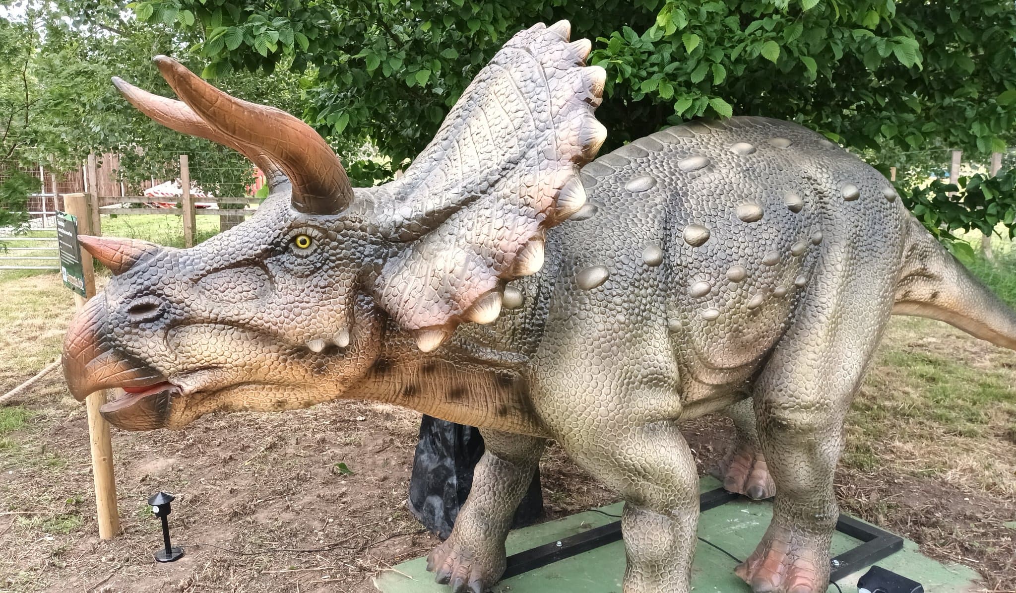 Ark Wildlife & Dinosaur Park - Photo