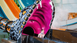 SC2 Rhyl Waterpark - Photo