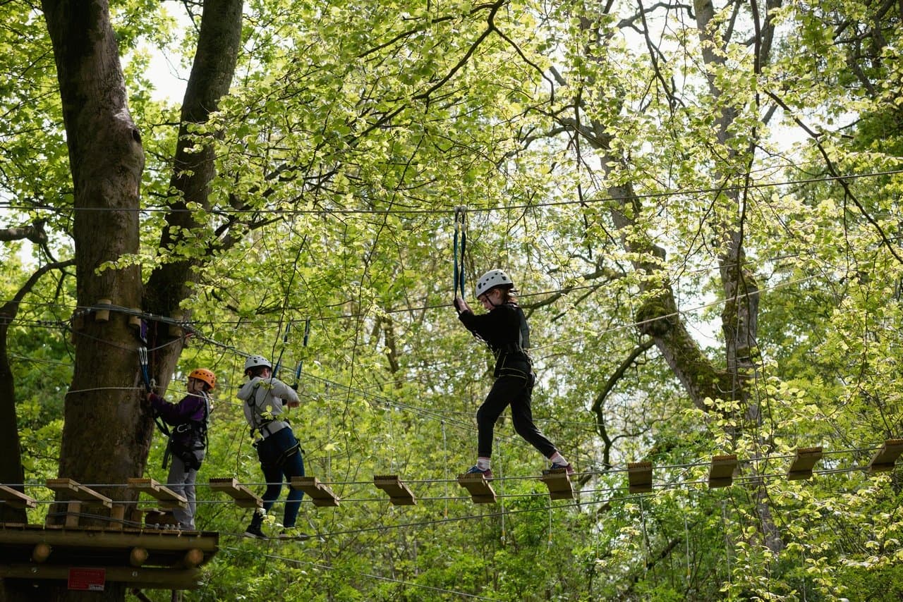 Raven Tree Top Adventure - Photo
