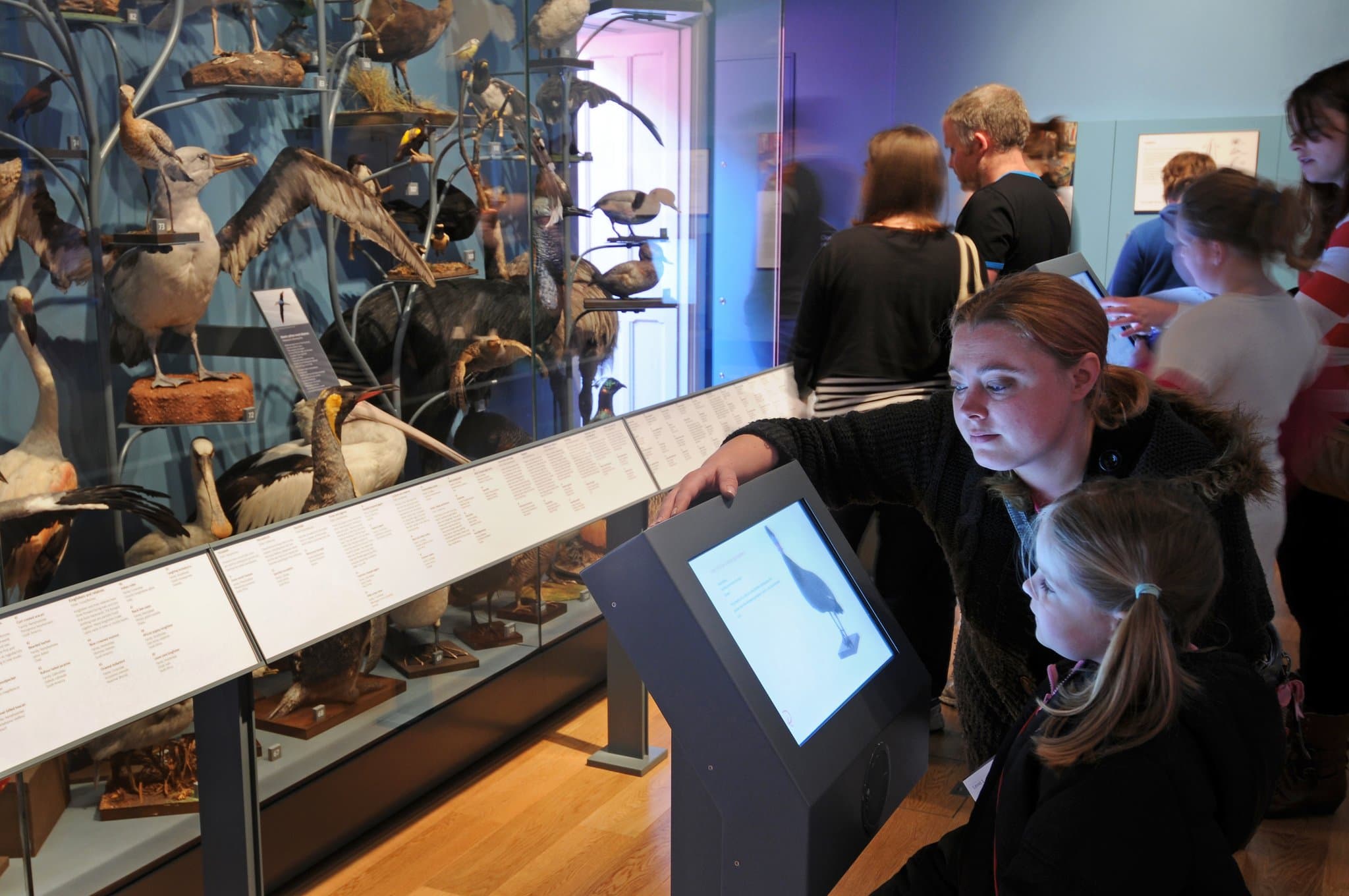 The Royal Albert Memorial Museum & Art Gallery - Photo