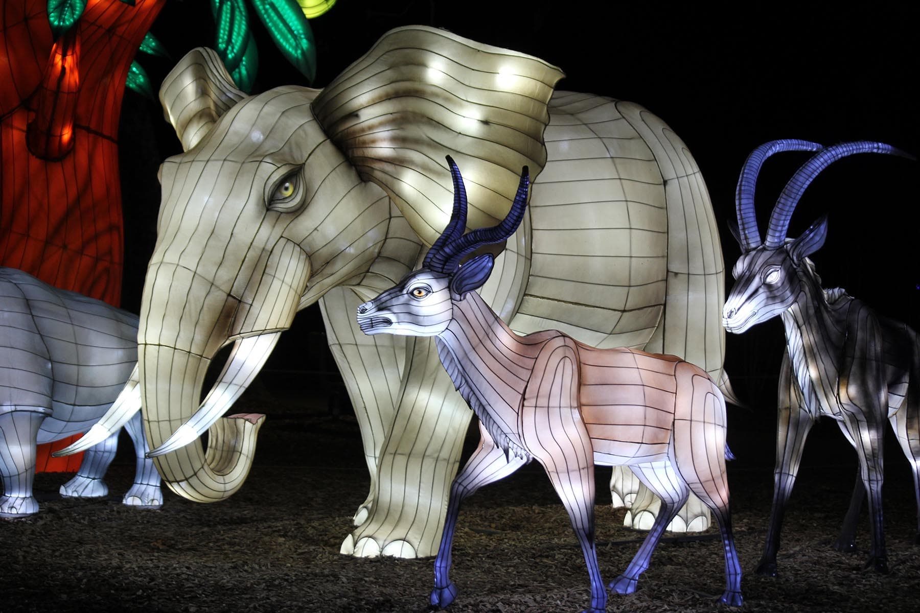 Land of Lights - Photo