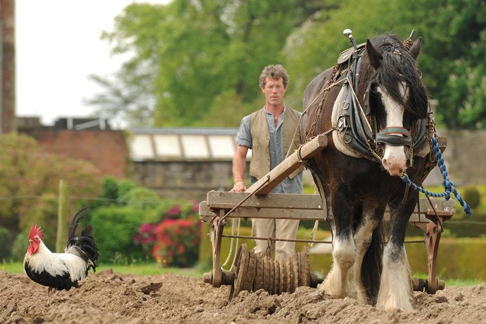 Acton Scott Working Farm - Photo 1