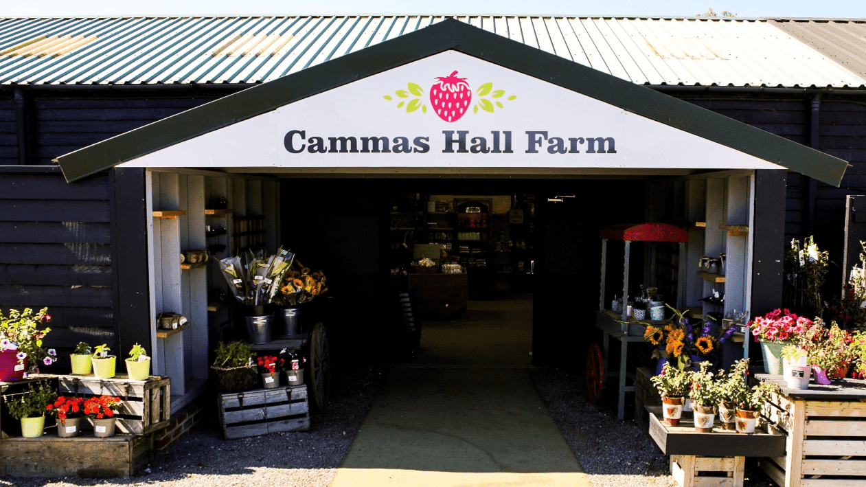 Cammas Hall Farm - Photo 1