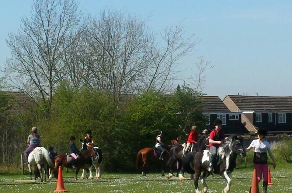Sunshine Riding School