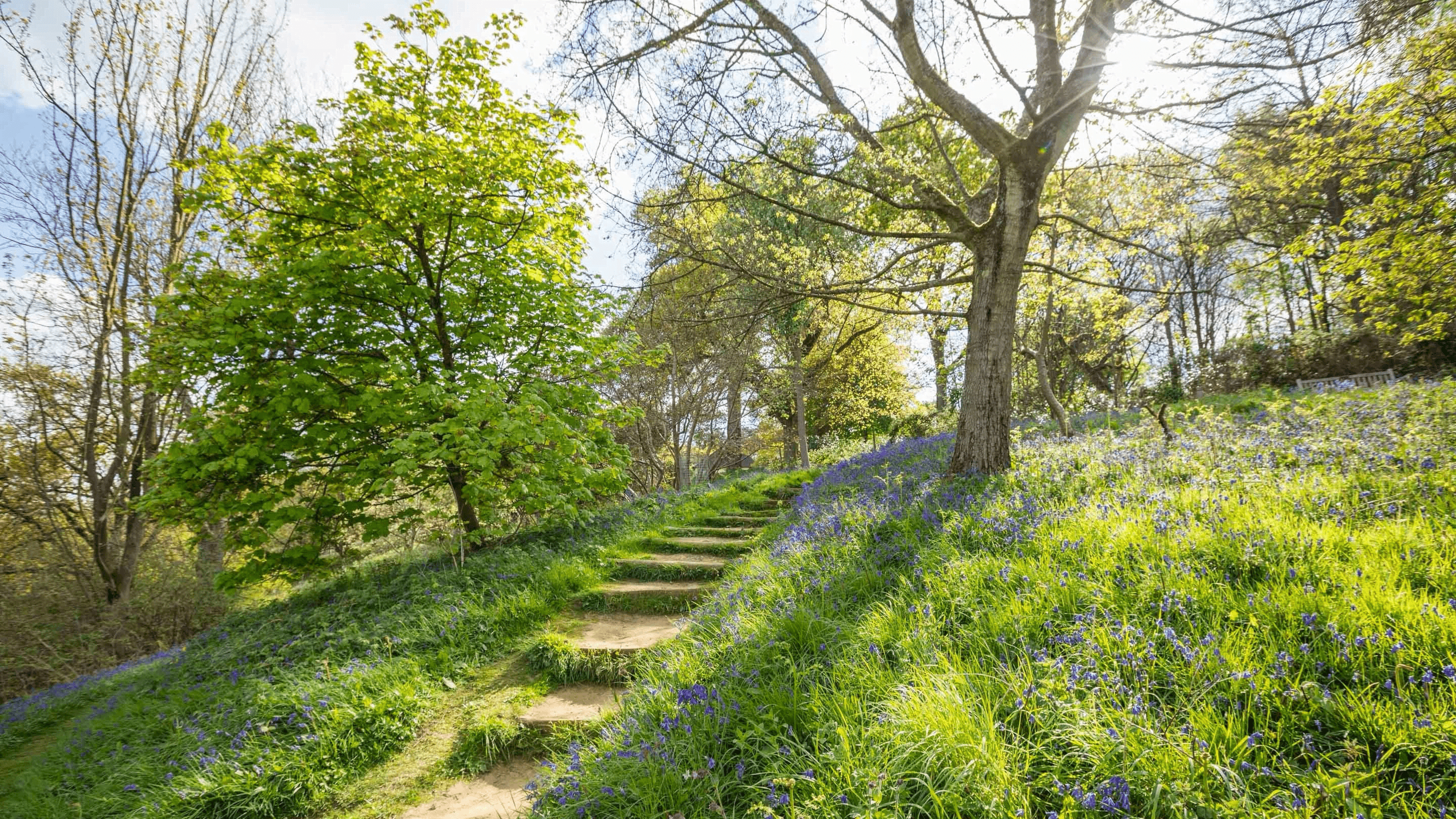 Winkworth Arboretum - Photo