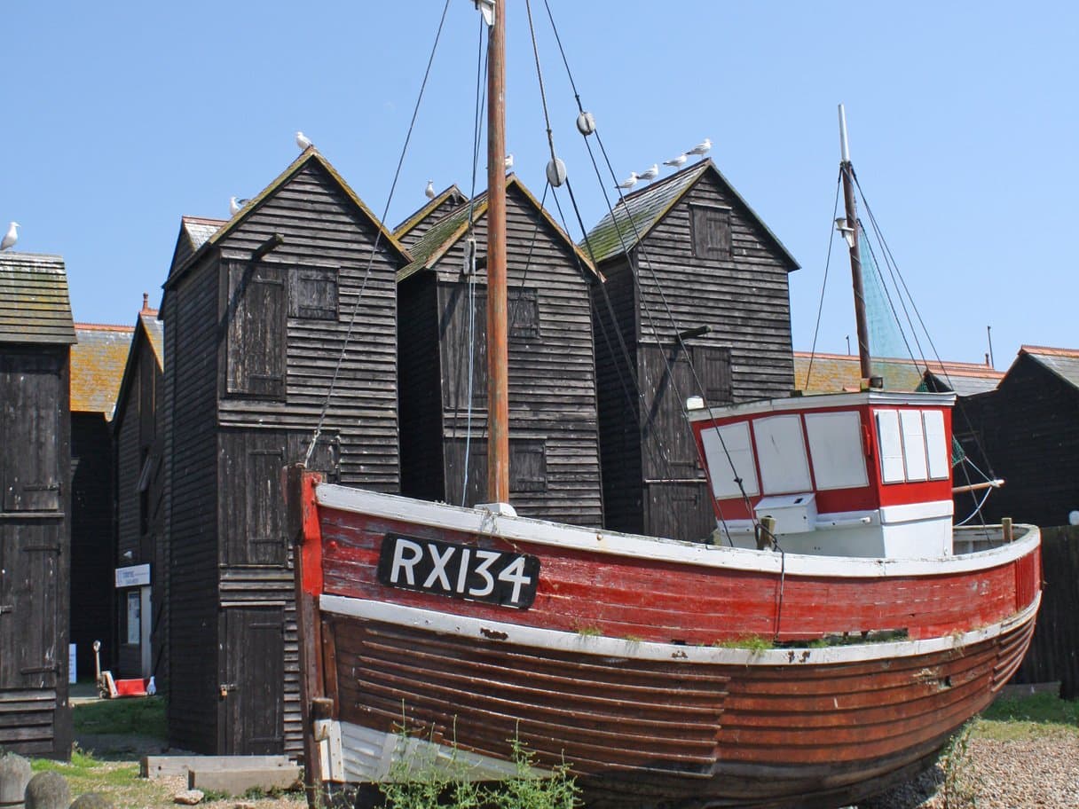 Curious About Hastings