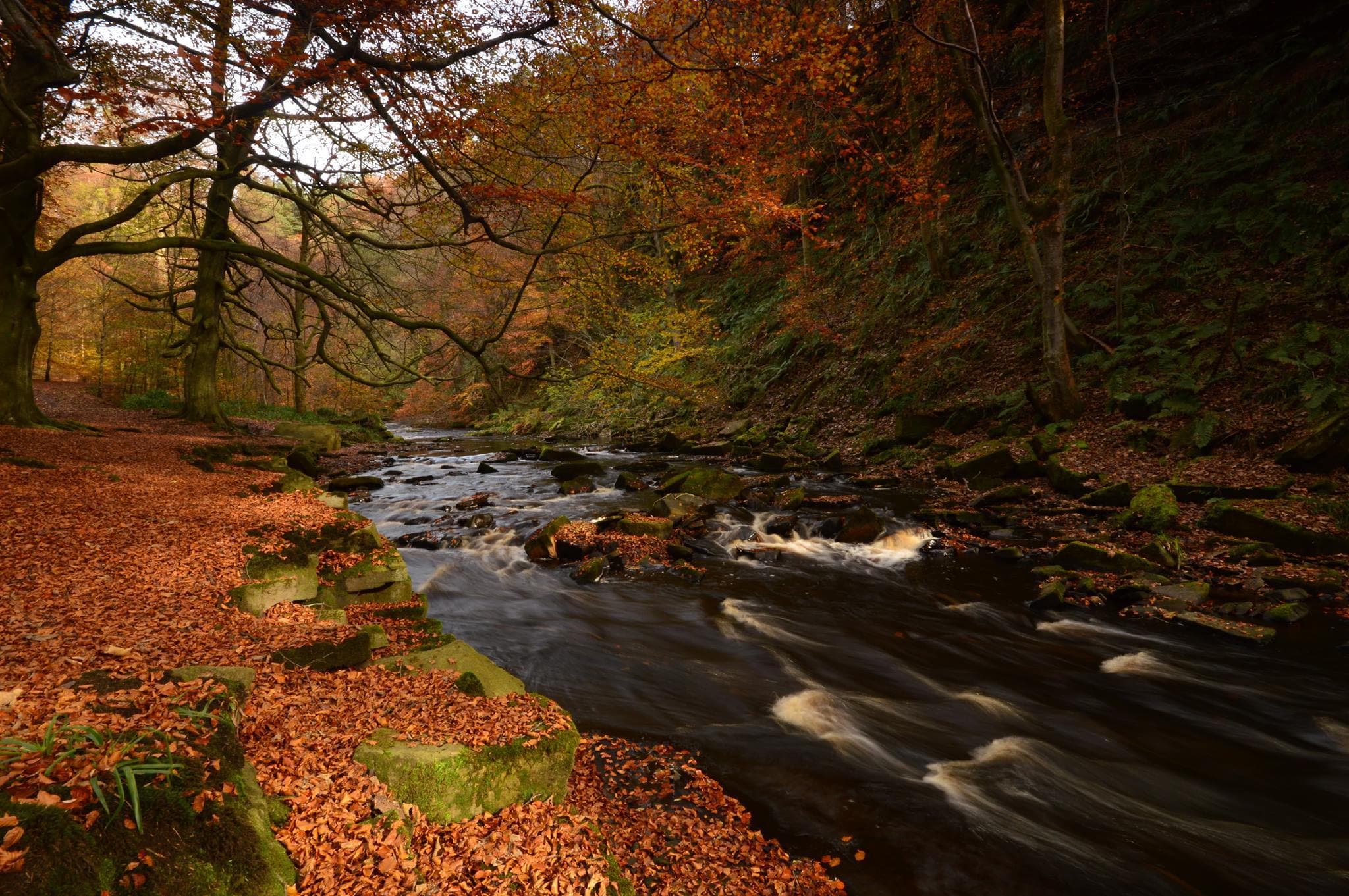 Hardcastle Craggs - Photo