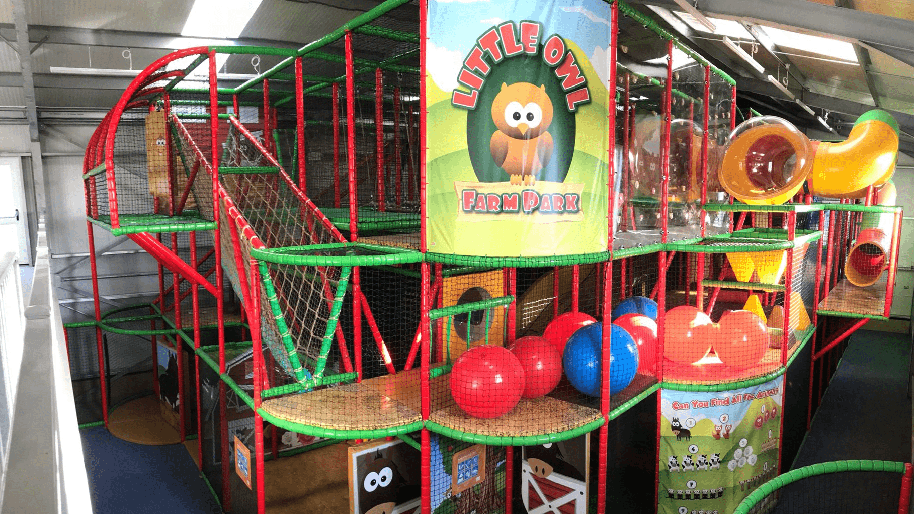 Little Owl Farm Park