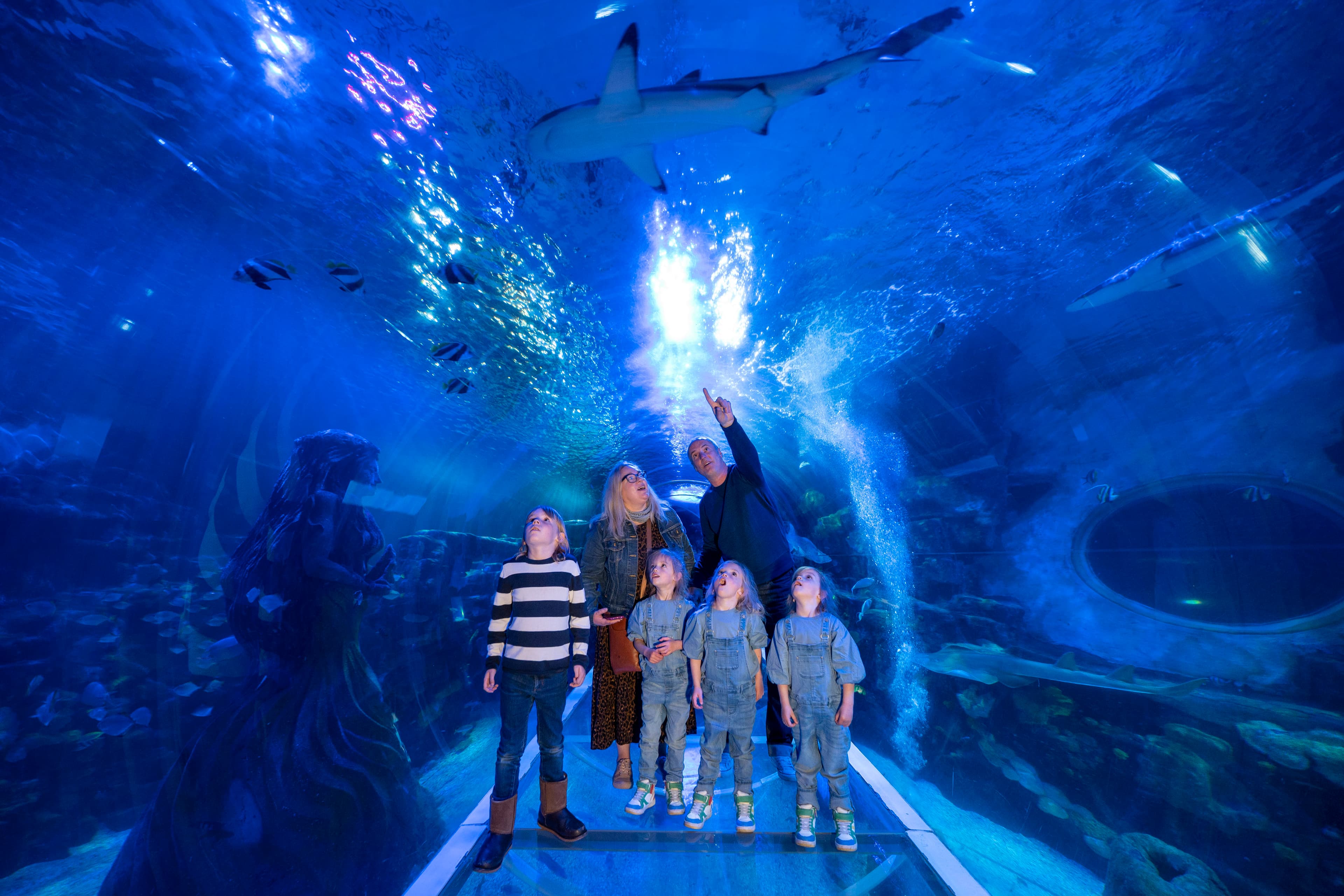 SEA LIFE Birmingham - Photo